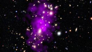 צביר RM J130558.9+263048.4, שקיבל את השם החדשה "צביר שמפניה" בשל מראהו. בתמונה שצולמה על ידי טלסקופ החלל צ'נדרה ניתן לראות את האוסף הגדול של הגלקסיות כנקודות בוהקות ואת הגז החם (בטמפרטורה של מיליוני מעלות צלזיוס) בצבע סגול