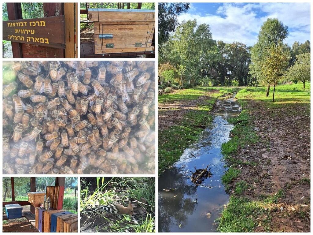 Экопарк в Герцлии 