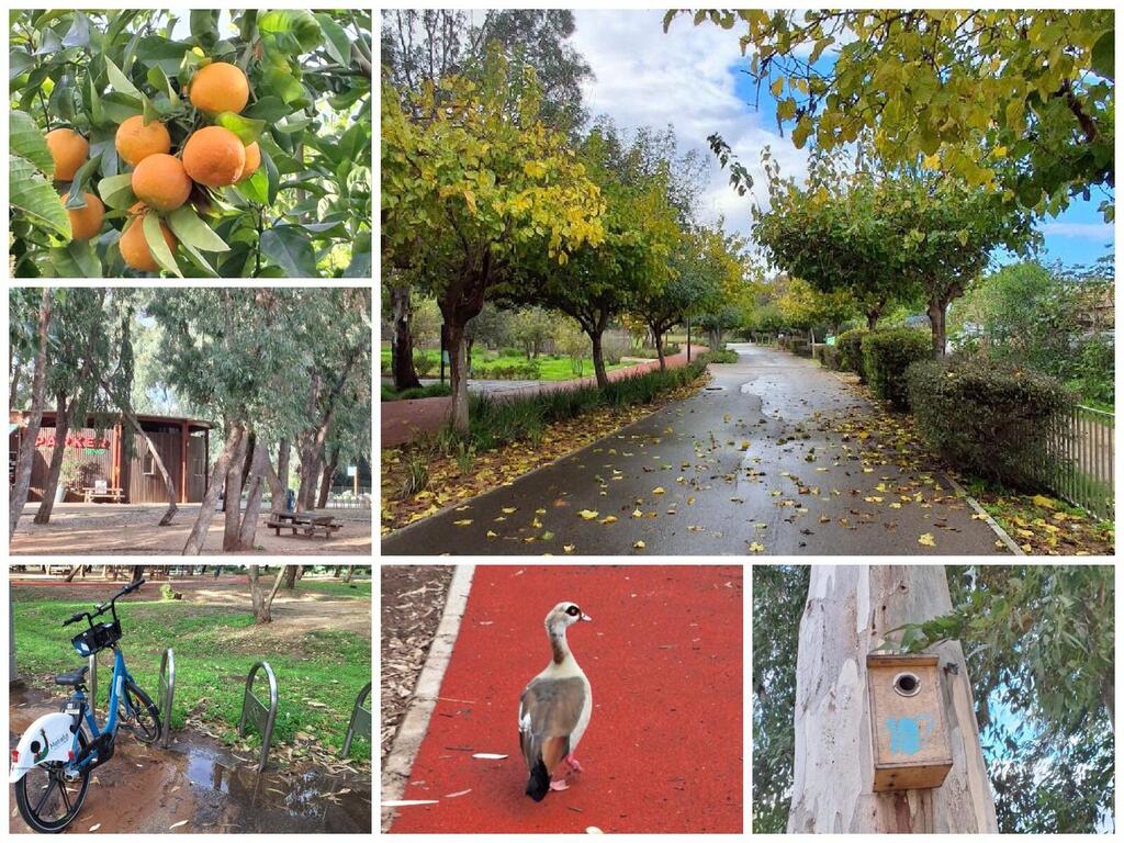 В экопарке в Герцлии 