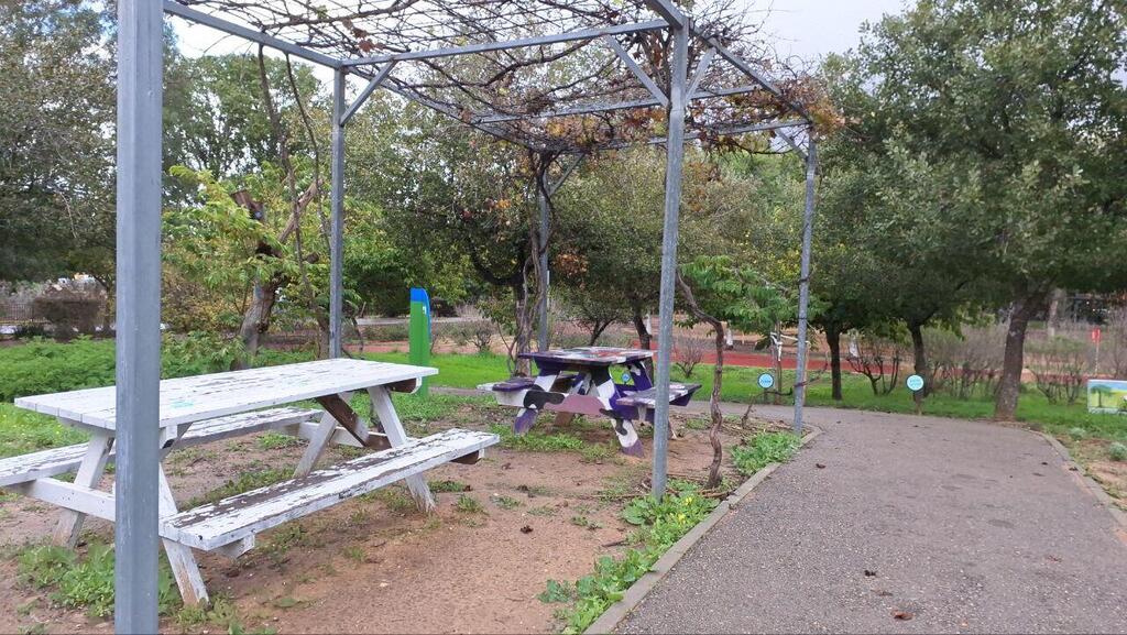 Зона отдыха в саду Тене 