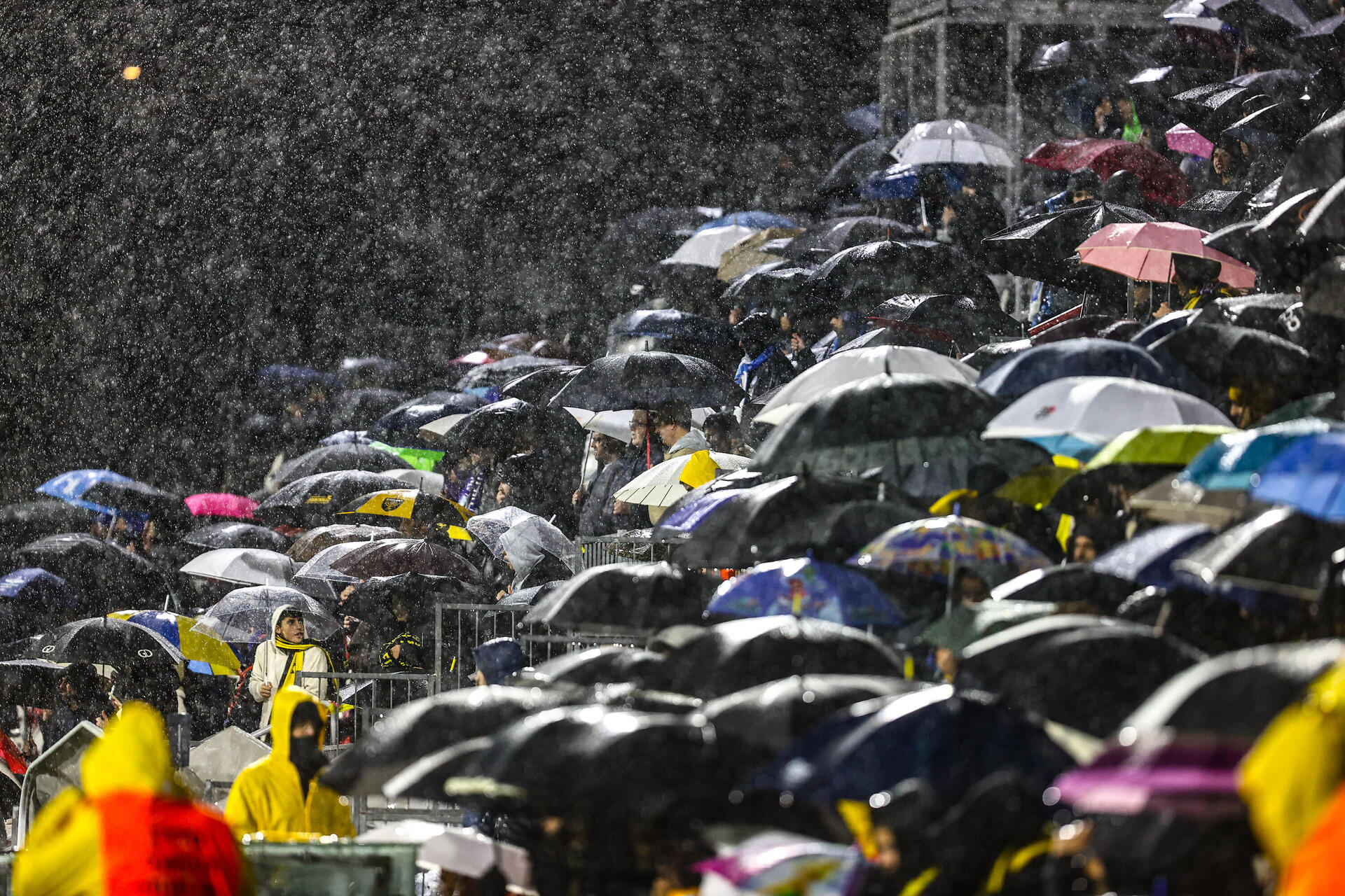 מטרייה אוווירית. אוהדי בית"ר ירושלים לא נותנים למבול להפריע להם בניצחון על טבריה 