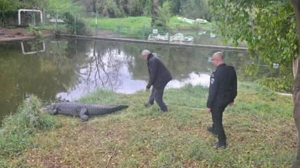 סיור של קציני שב"ס בחמת גדר