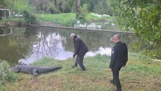סיור של קציני שב"ס בחמת גדר