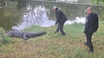 סיור של קציני שב"ס בחמת גדר