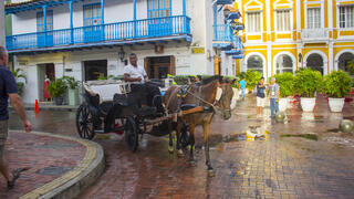 נהג מוביל כרכרת סוסים ברחובות קרטחנה