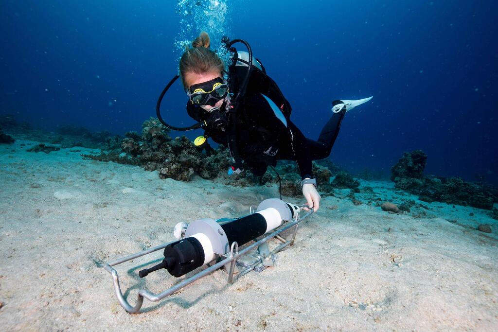 Researchers deploy an instrument near the reef in Eilat to record water currents, allowing them to keep track of the direction of sea currents 