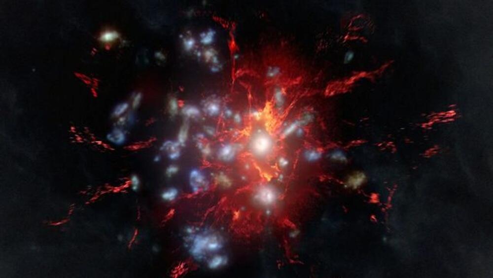 גז מולקולרי בתווך התוך-צבירי של צביר הגלקסיות SPT2349-56