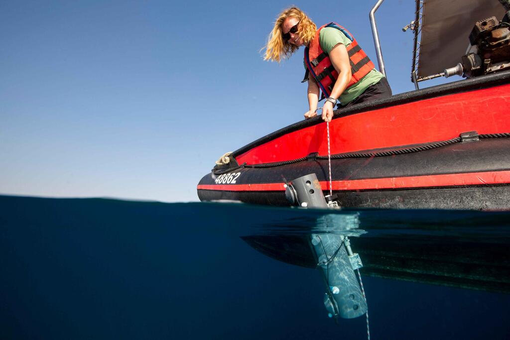 Researchers deploy an instrument near the reef in Eilat to record water currents, allowing them to keep track of the direction of sea currents 