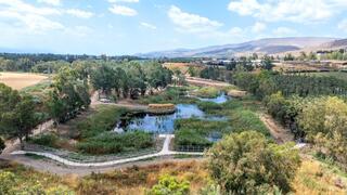  Так выглядит новый парк возле Кинерета 