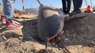 כרישה מתה בחדרה