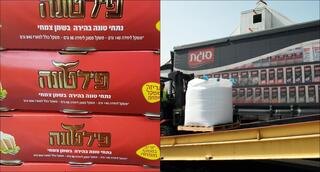 סוגת, פילטונה