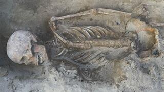 שלד לוחם, שניתוח גנטי מצביע על כך שהיה אביו או אחיו של אחד הלוחמים הצעירים שנטמנו לצידו