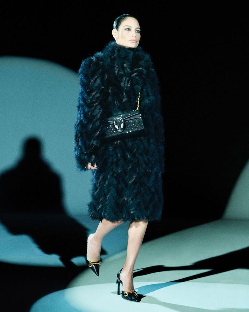 שרון גניש לגוצ'י