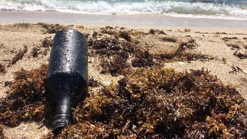 בקבוק זכוכית מצופה בנפט, על חופי פאלם ביץ' בפלורידה