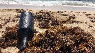 בקבוק זכוכית מצופה בנפט, על חופי פאלם ביץ' בפלורידה