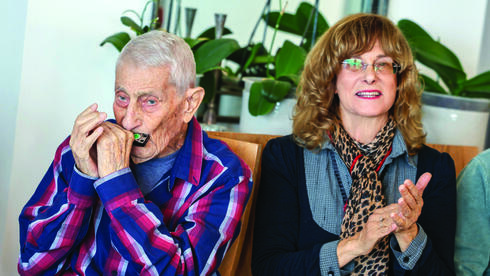 מאיר הרצברג