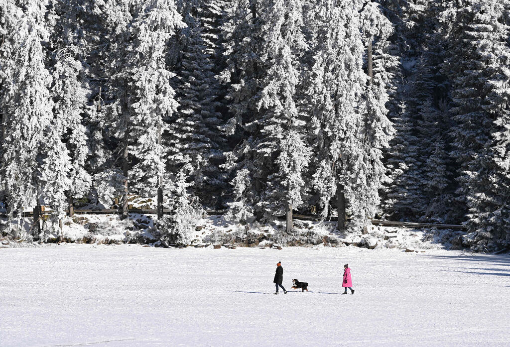 אירופה מזג אוויר גל קור גרמניה מטיילים עם הכלב ב אגם קפוא צפון היער השחור