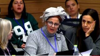 דיון על אלימות כלכלית בזוגיות בכנסת