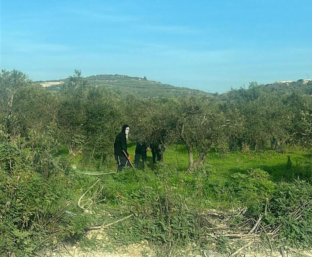 רעולי פנים שרפו רכב עם פלסטינים בתוכו