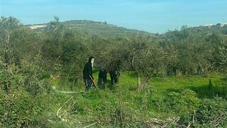 רעולי פנים שרפו רכב עם פלסטינים בתוכו