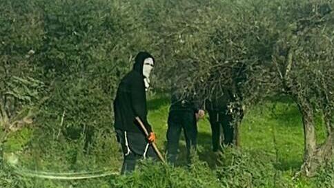 רעולי פנים שרפו רכב עם פלסטינים בתוכו