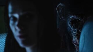 מתוך "קוף הדם"