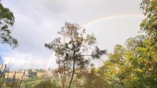 קשת בענן בכרמל