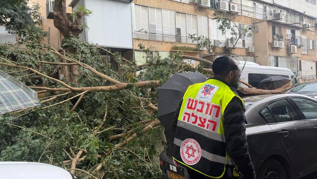 עץ קרס על רכב נוסע ופגע במספר רכבים חונים ברחוב הירדן בבני ברק