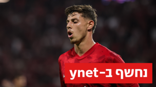 סתיו טוריאל