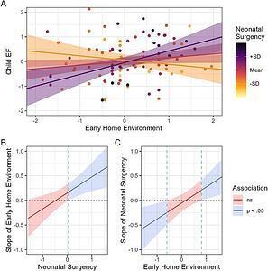 17 year ADHD study