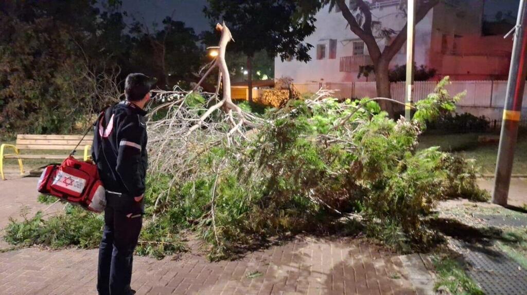 A tree that collapsed in Rishon LeZion, winds are expected to weaken on Friday (Photo: MDA) עץ נפל ברחוב הגלים בראשון לציון