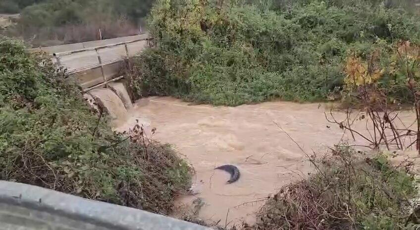 תיעוד: סכר בית זית עולה על גדותיו 