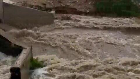 הזירה בנחל מודיעים