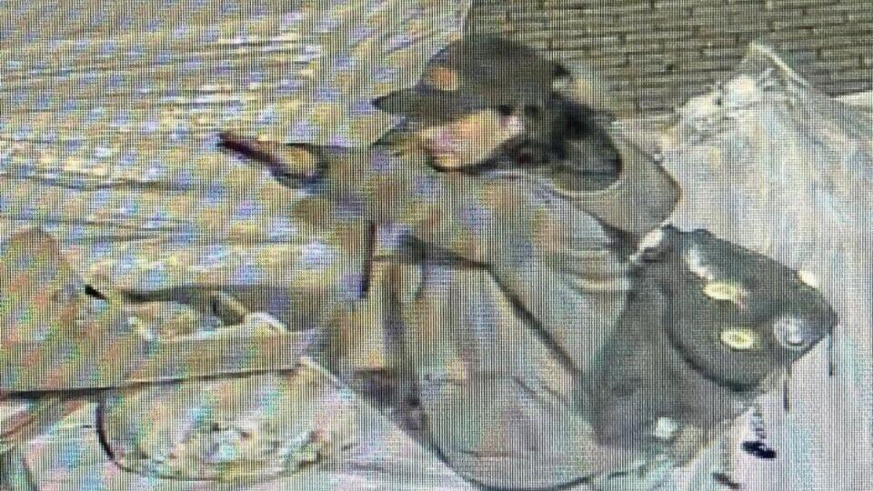 הצתת בית הכנסת בעיר גיסן שבגרמניה