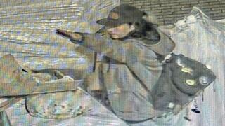 הצתת בית הכנסת בעיר גיסן שבגרמניה