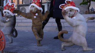 פסלי חתולים מקושטים לראש השנה האזרחית בבייג'ינג