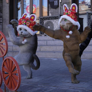 פסלי חתולים מקושטים לראש השנה האזרחית בבייג'ינג