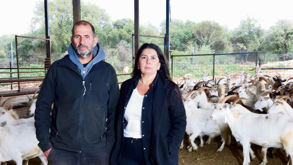 אילנית ודורון דדוש בדיר העיזים. "מרגישים שהממשלה עושה הכל כדי שלא נישאר פה. זו תחושת בגידה" | צילום: שאול גולן