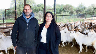 אילנית ודורון דדוש בדיר העיזים. "מרגישים שהממשלה עושה הכל כדי שלא נישאר פה. זו תחושת בגידה" | צילום: שאול גולן