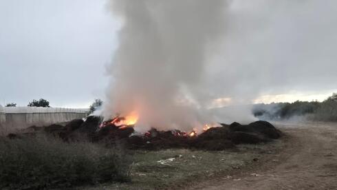 שריפת פסולת