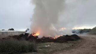 שריפת פסולת