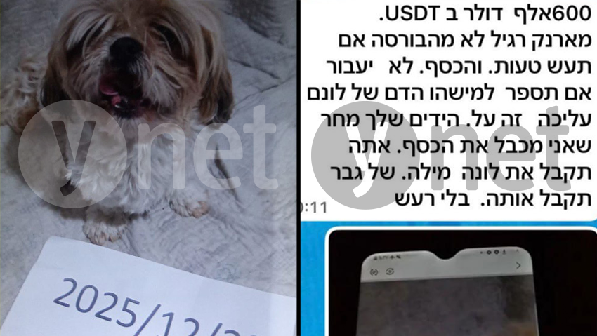 תמונה הכופר ששלחו החוטפים של לונה הכלבה