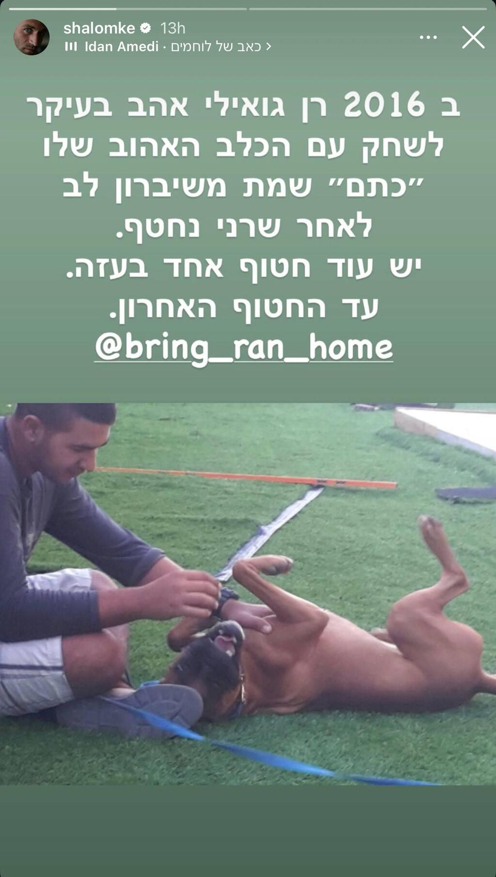 הסטורי של שלום מיכאלשווילי
