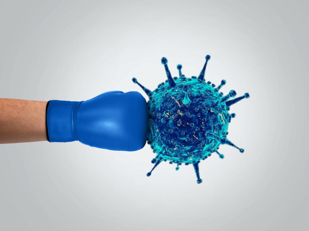 A better understanding of the immune system opens new possibilities for innovative treatments (Photo: Shutterstock) מערכת החיסון