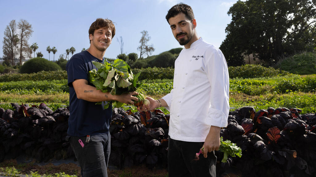 דודו בן אבו ובן כהן