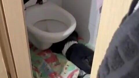 תיעוד מתוך הגן בירושלים