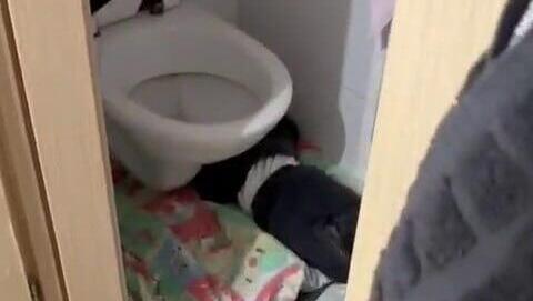 תיעוד מתוך הגן בירושלים