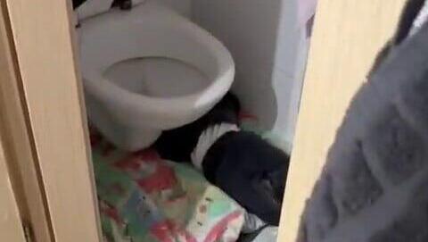 תיעוד מתוך הגן בירושלים