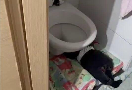 תיעוד מתוך הגן בירושלים