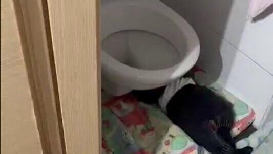 תיעוד מתוך הגן בירושלים